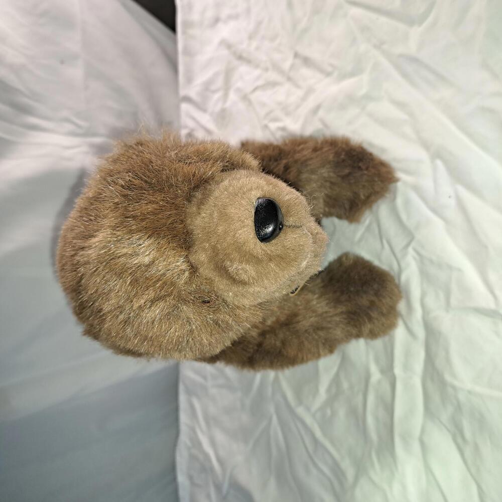 Bruin Plush Bear Toy - Soft and Cuddly Collectible